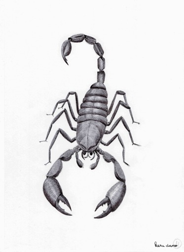 Ink drawing made by visual artist Kera Damo from The Hague as part of Inktober